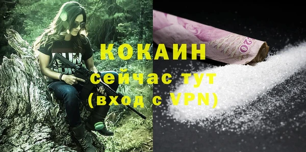 дмт Каменка