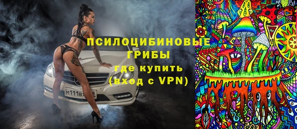 дмт Каменка