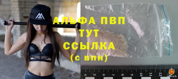 дмт Каменка