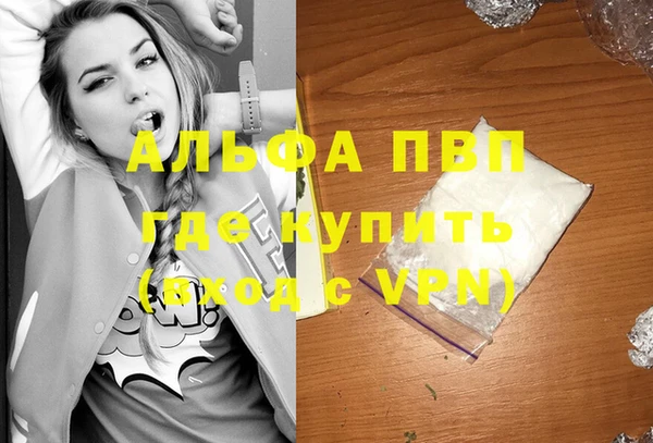 дмт Каменка