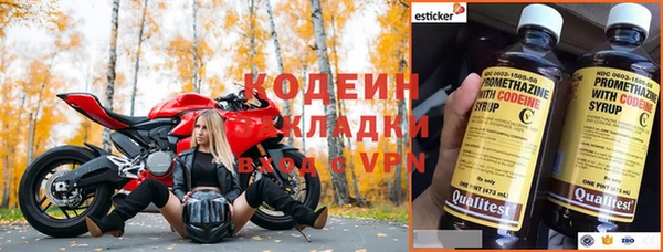 дмт Каменка