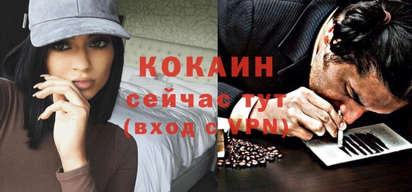 молекула духа Каменногорск