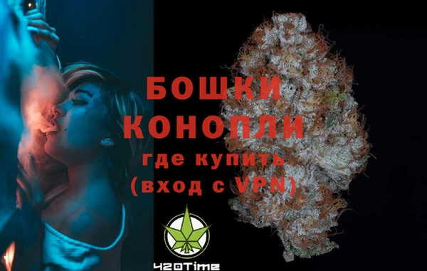дмт Каменка