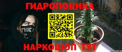 мдпв Канаш