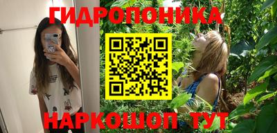 ECSTASY Кандалакша