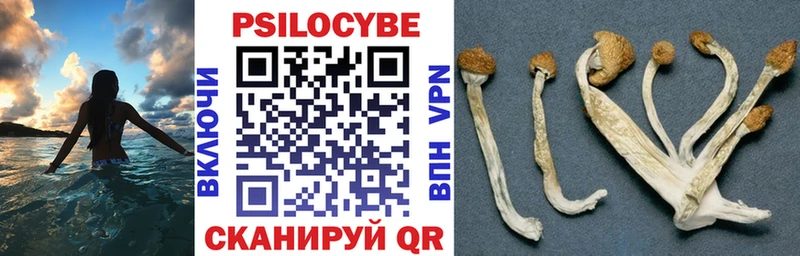 Галлюциногенные грибы Magic Shrooms Ирбит