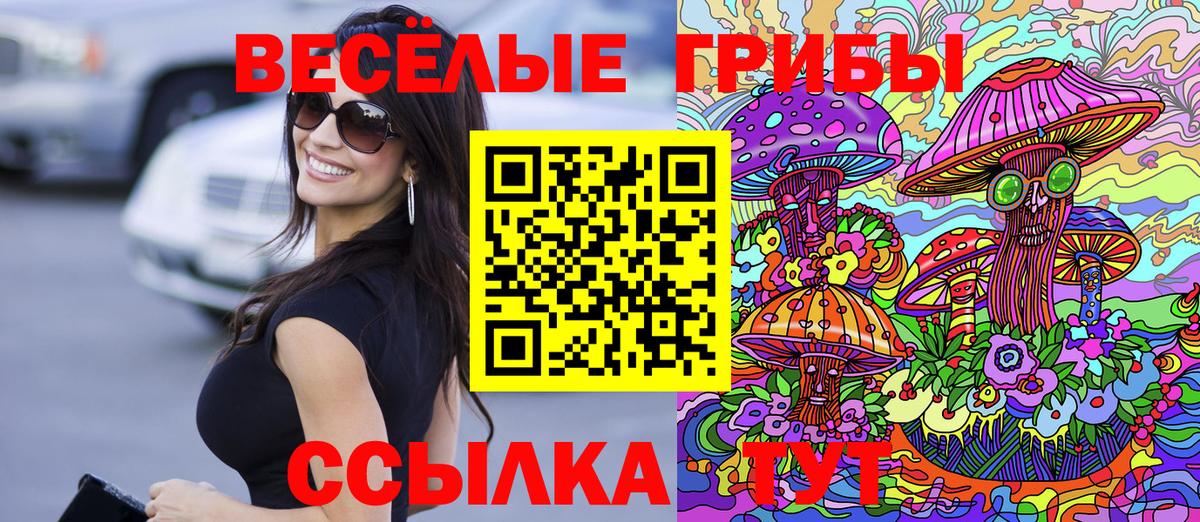 магазин продажи   Псилоцибиновые грибы GOLDEN TEACHER  Вход с VPN  Ирбит 
