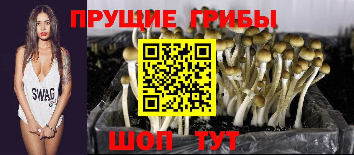Псилоцибиновые грибы Psilocybine cubensis  наркотики  Ирбит 
